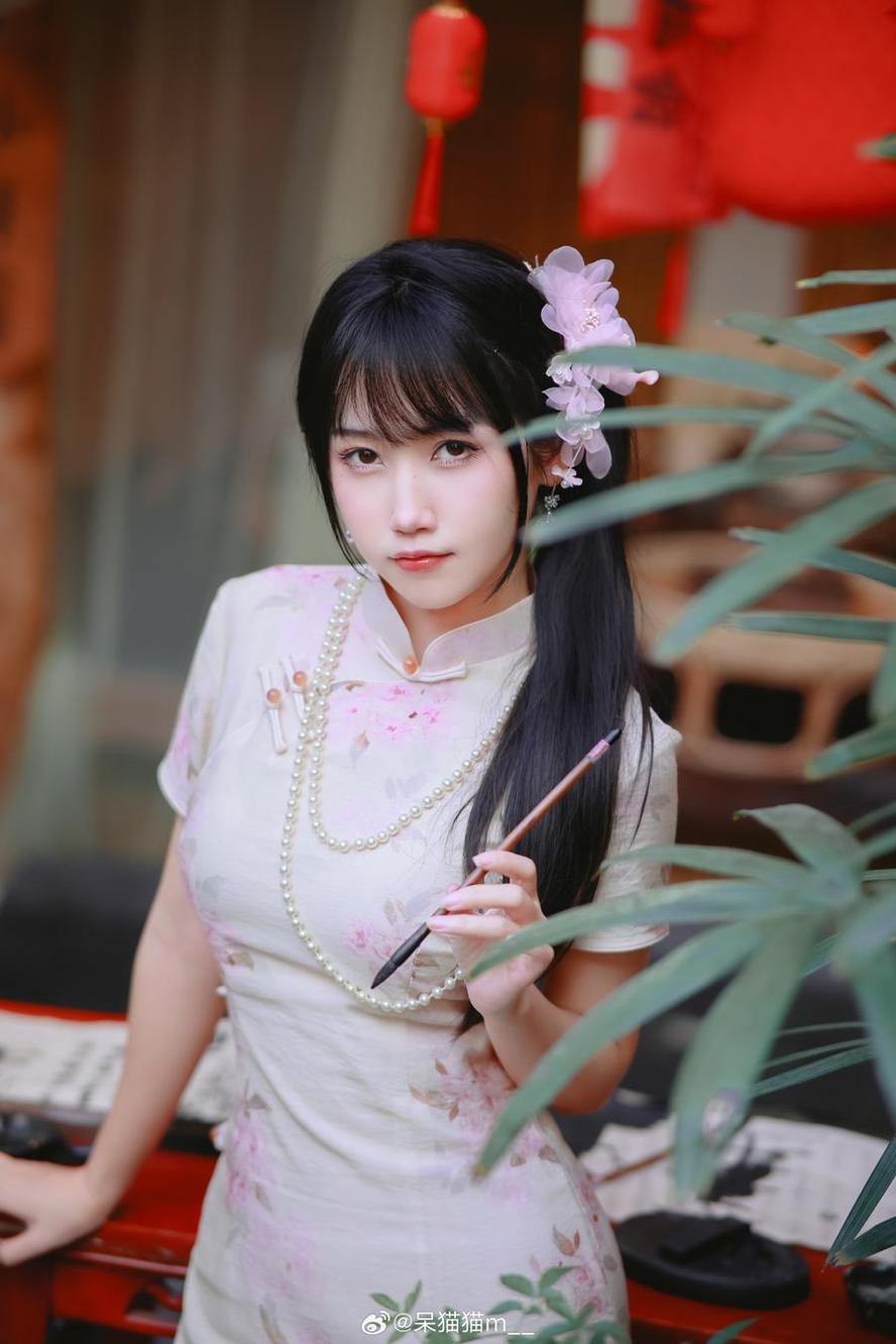 不呆猫 - 千黛汇